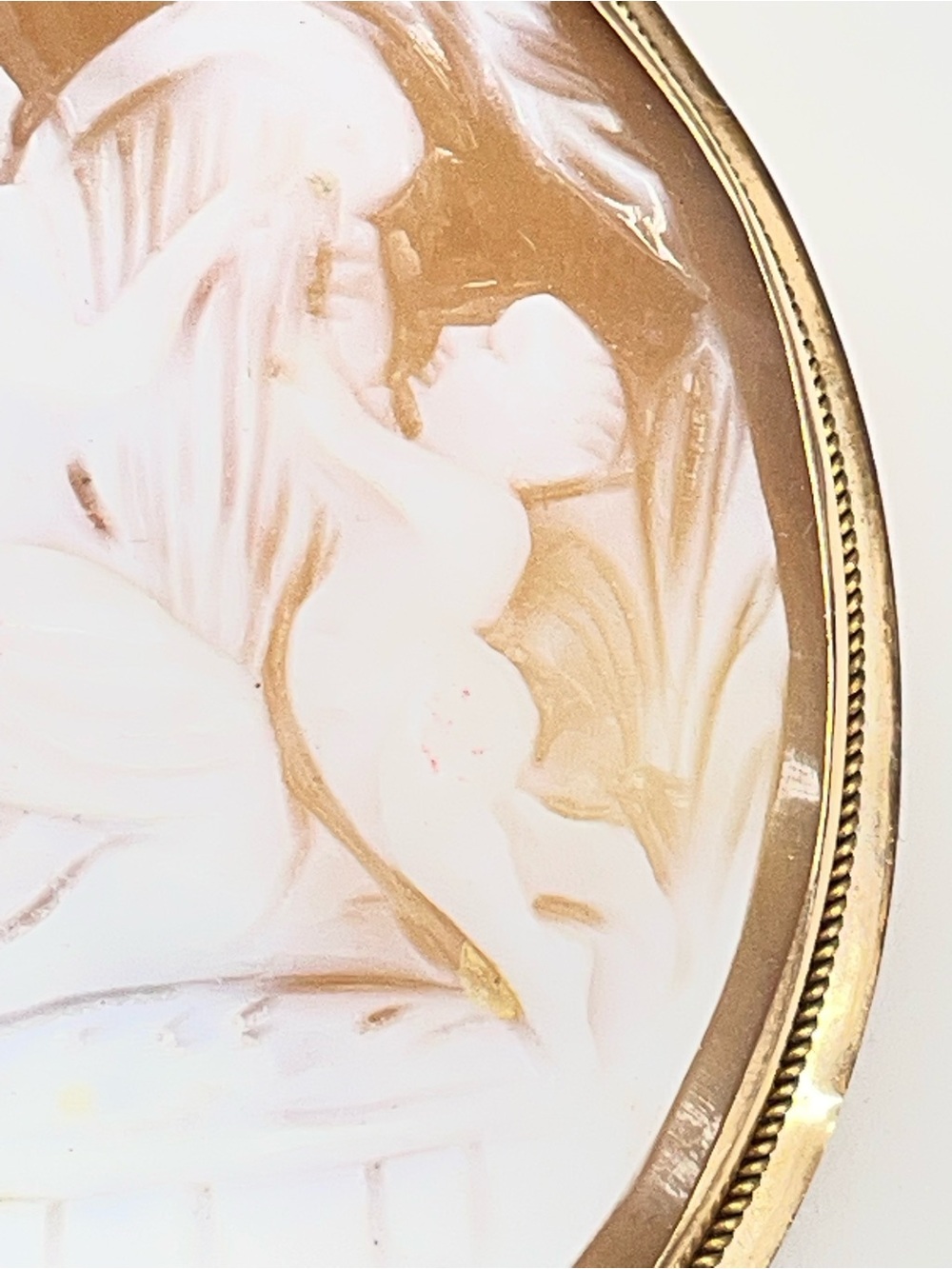 Carved Shell Cameo Brooch in White and Warm Brown with Gold Frame - Picture 10 of 13